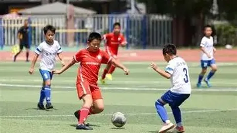 大乐透期号专家推荐：质合分析前区十码解读及黄嘉辉染红事件